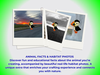Puffin Amigurumi Crochet Pattern - Easy PDF for Beginners
