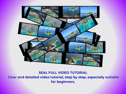 SEA TURTLE CROCHET PATTERN