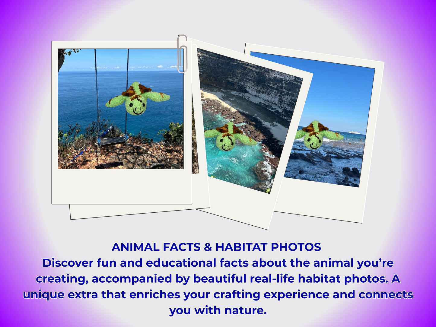 SEA TURTLE CROCHET PATTERN