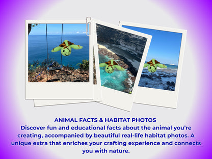 SEA TURTLE CROCHET PATTERN