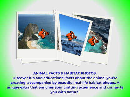 CLOWN FISH CROCHET PATTERN